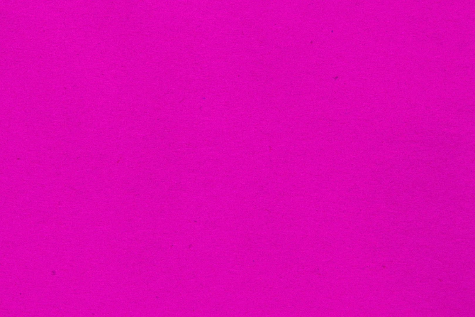 Neon Pink Images.jpg
