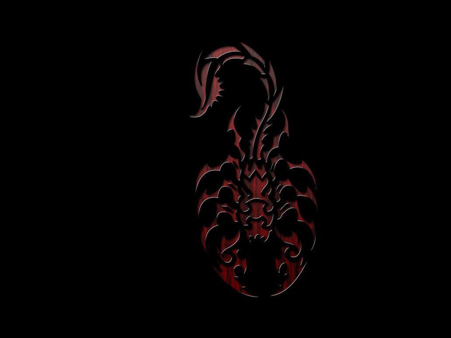 Scorpion Pictures.jpg