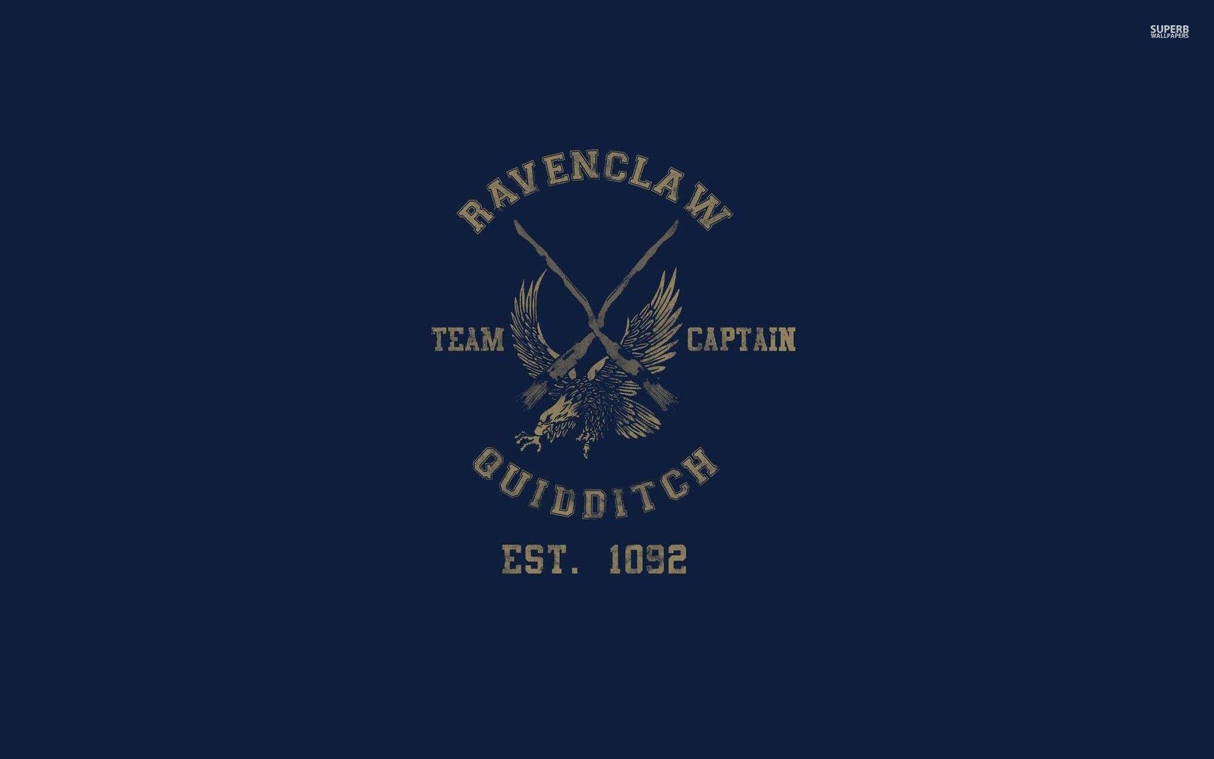 Harry Potter Ravenclaw Picture.jpg