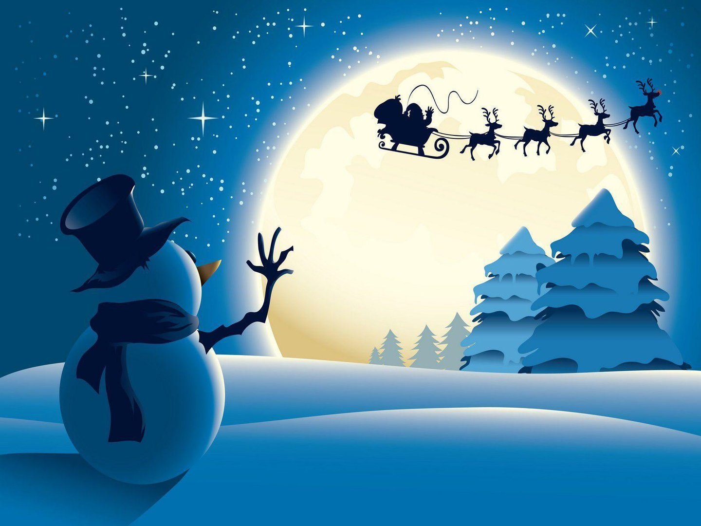 Cool Christmas Picture.jpg