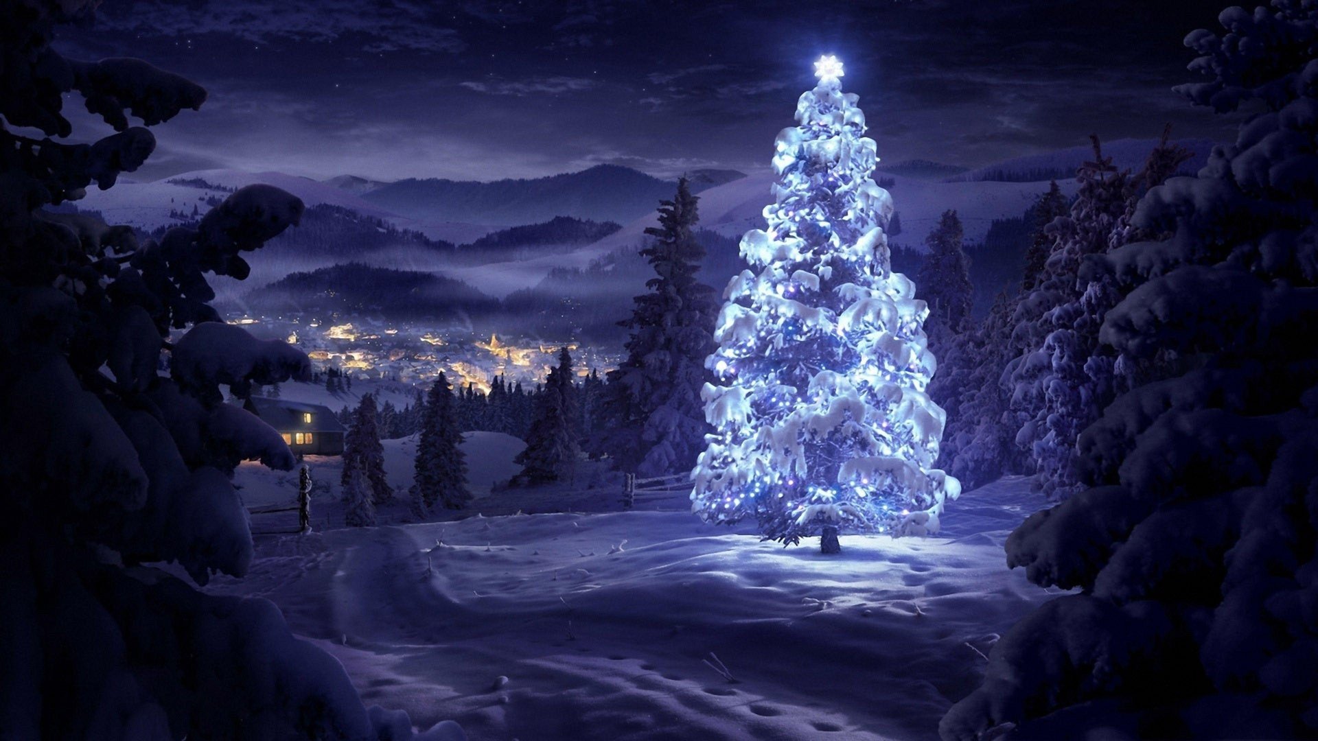 Cool Christmas Pictures.jpg