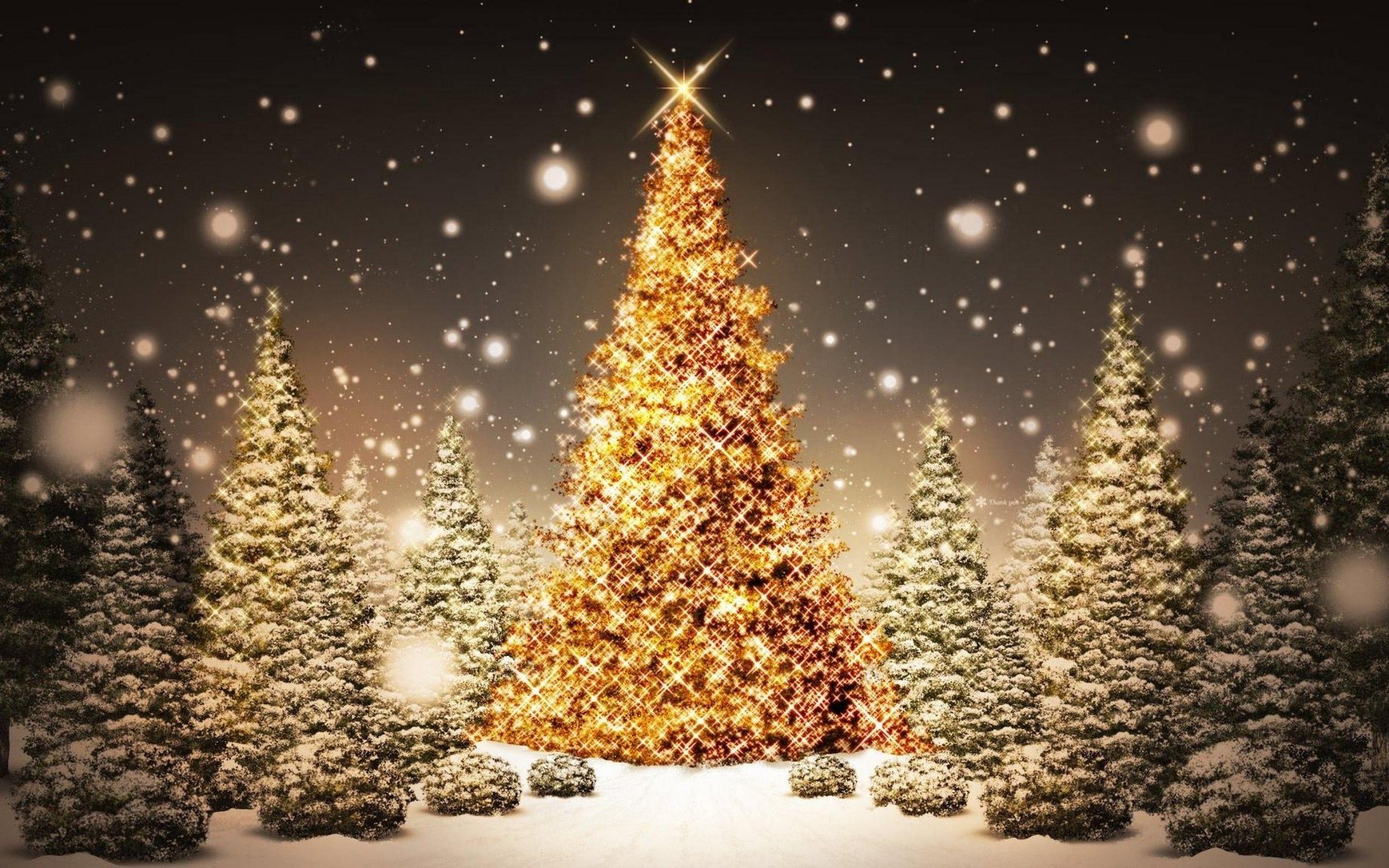 Cool Christmas Images.jpg
