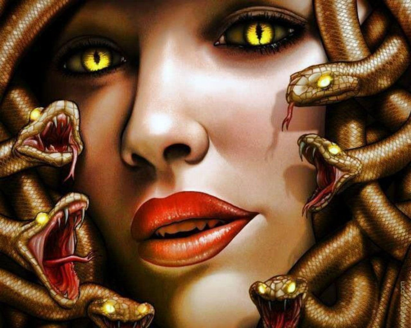 Medusa Picture.jpg