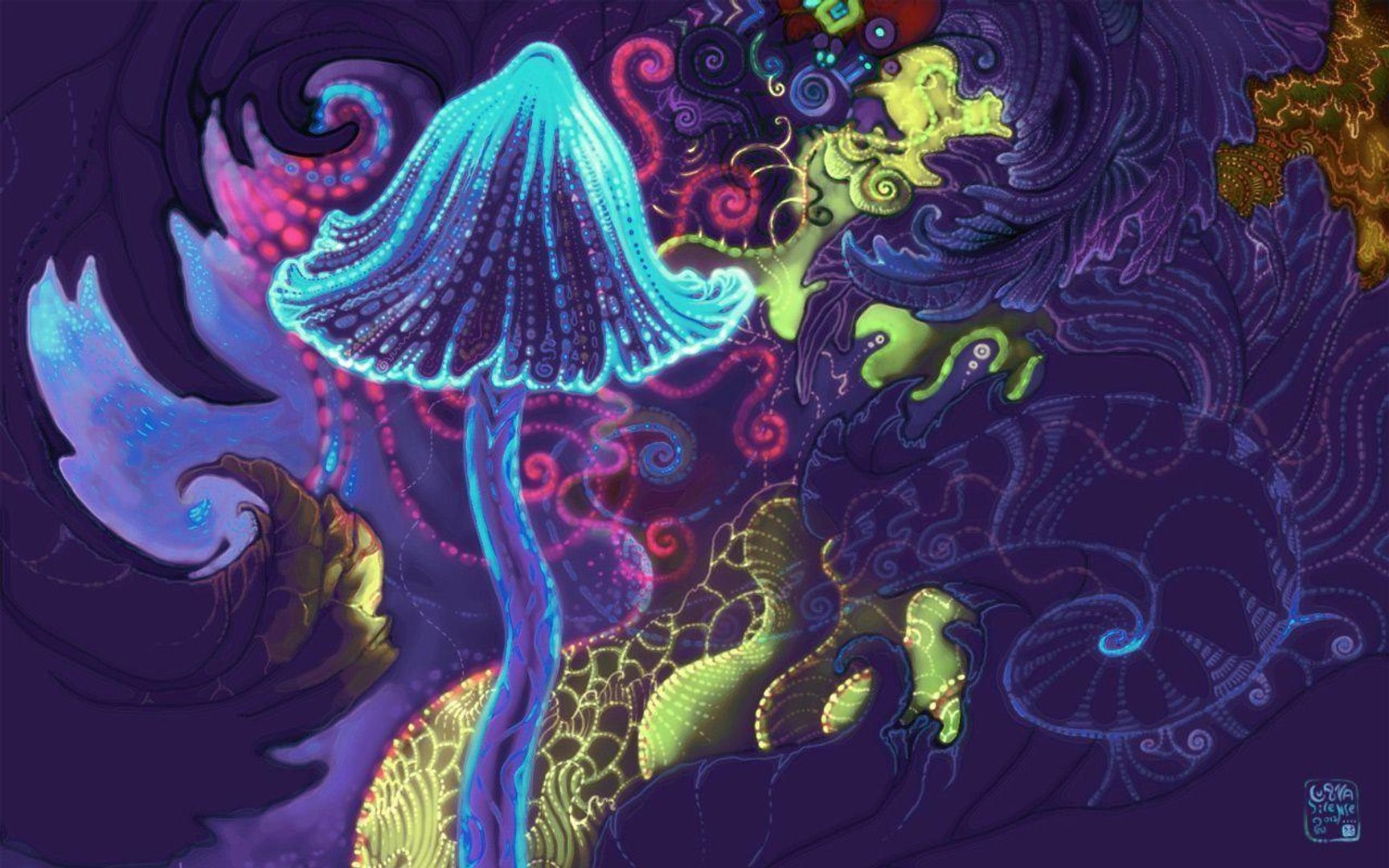 Psychedelic Mushroom Image.jpg