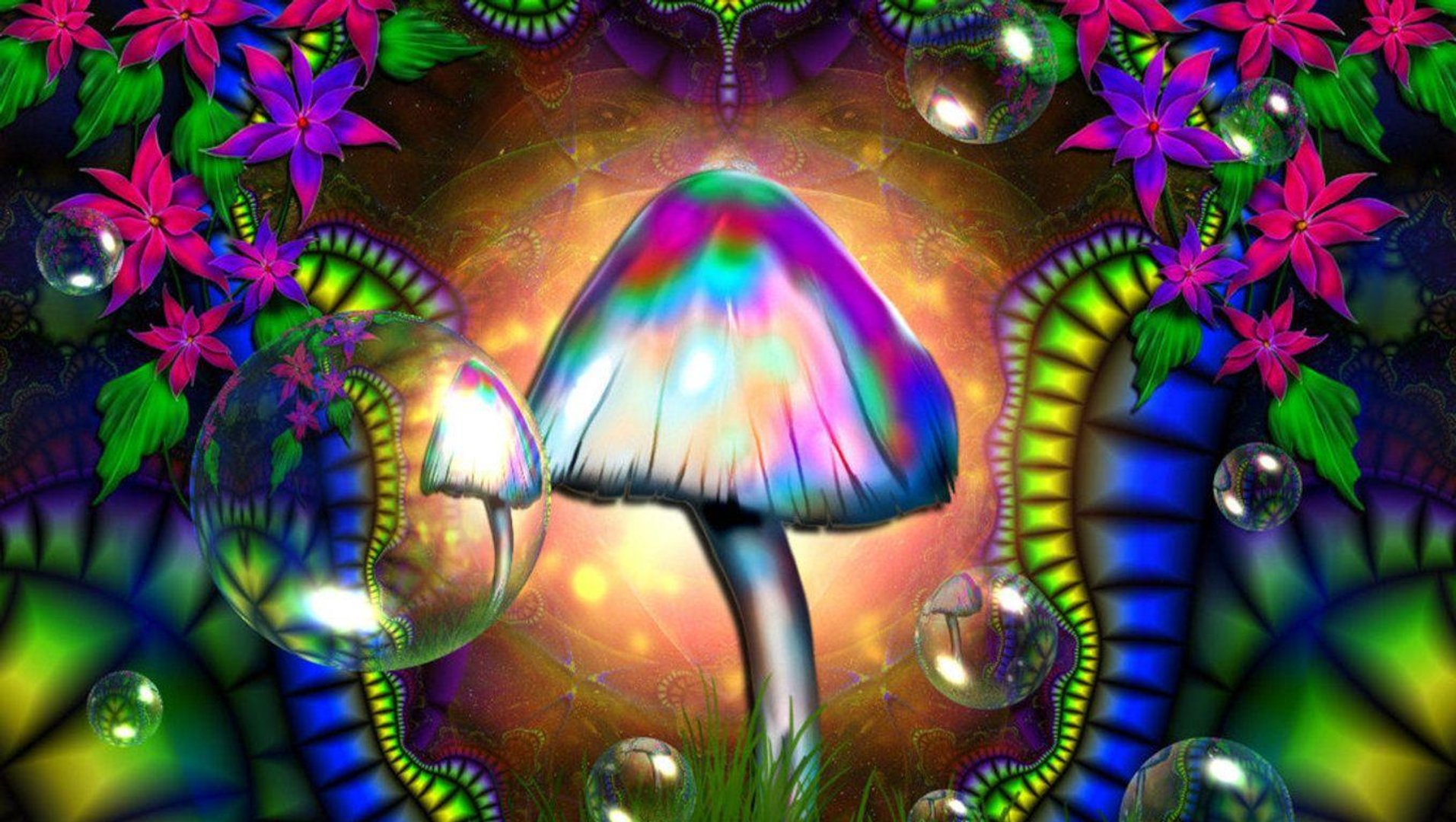 Psychedelic Mushroom Wallpapers.jpg