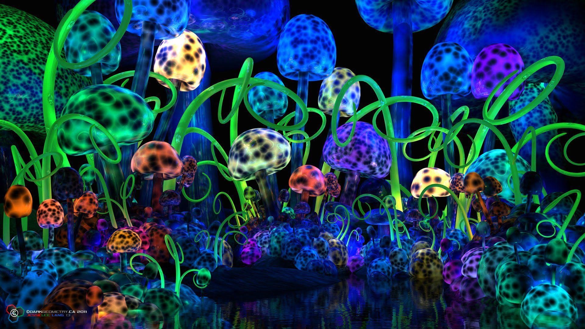 Psychedelic Mushroom Images.jpg