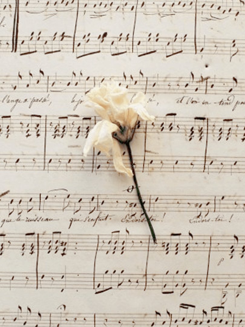 Aesthetic Music Picture.png