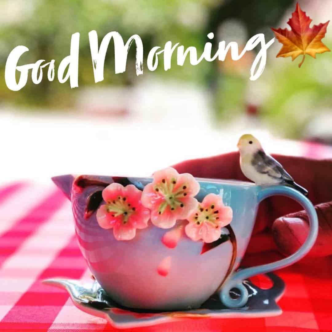 Good Morning Pictures.jpg