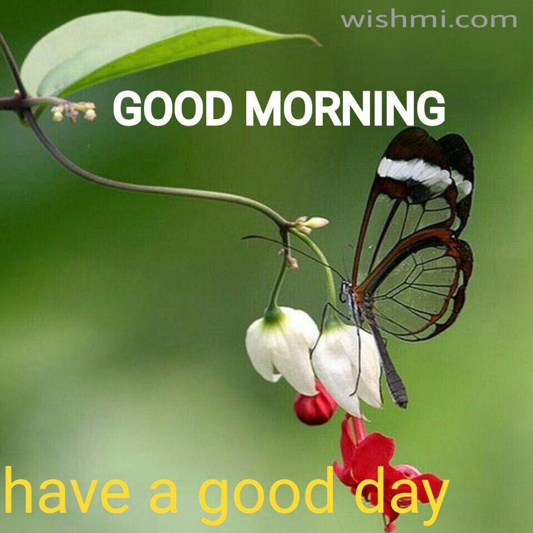 Good Morning Picture.jpg