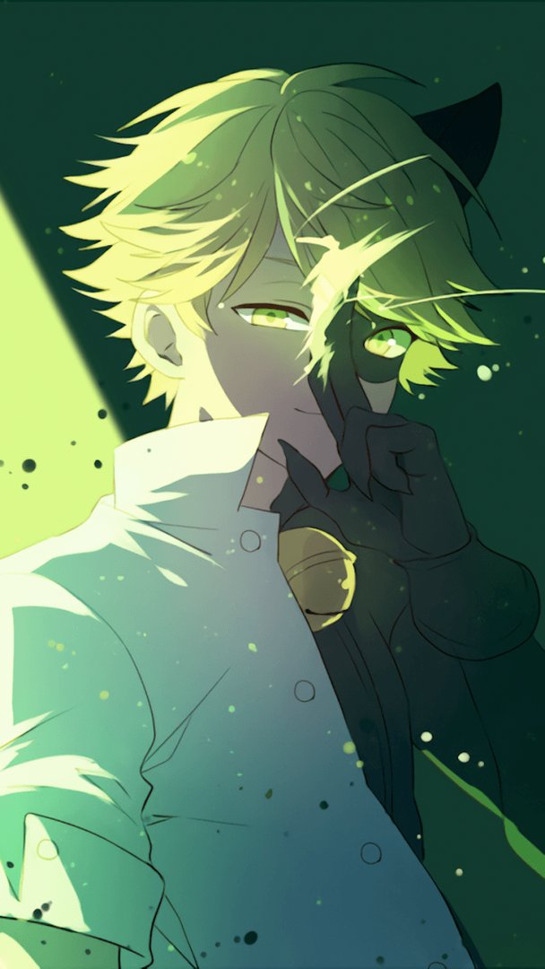 Cat Noir Image.png