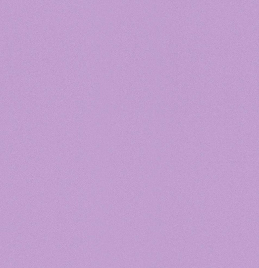 Plain Purple Pictures.jpg