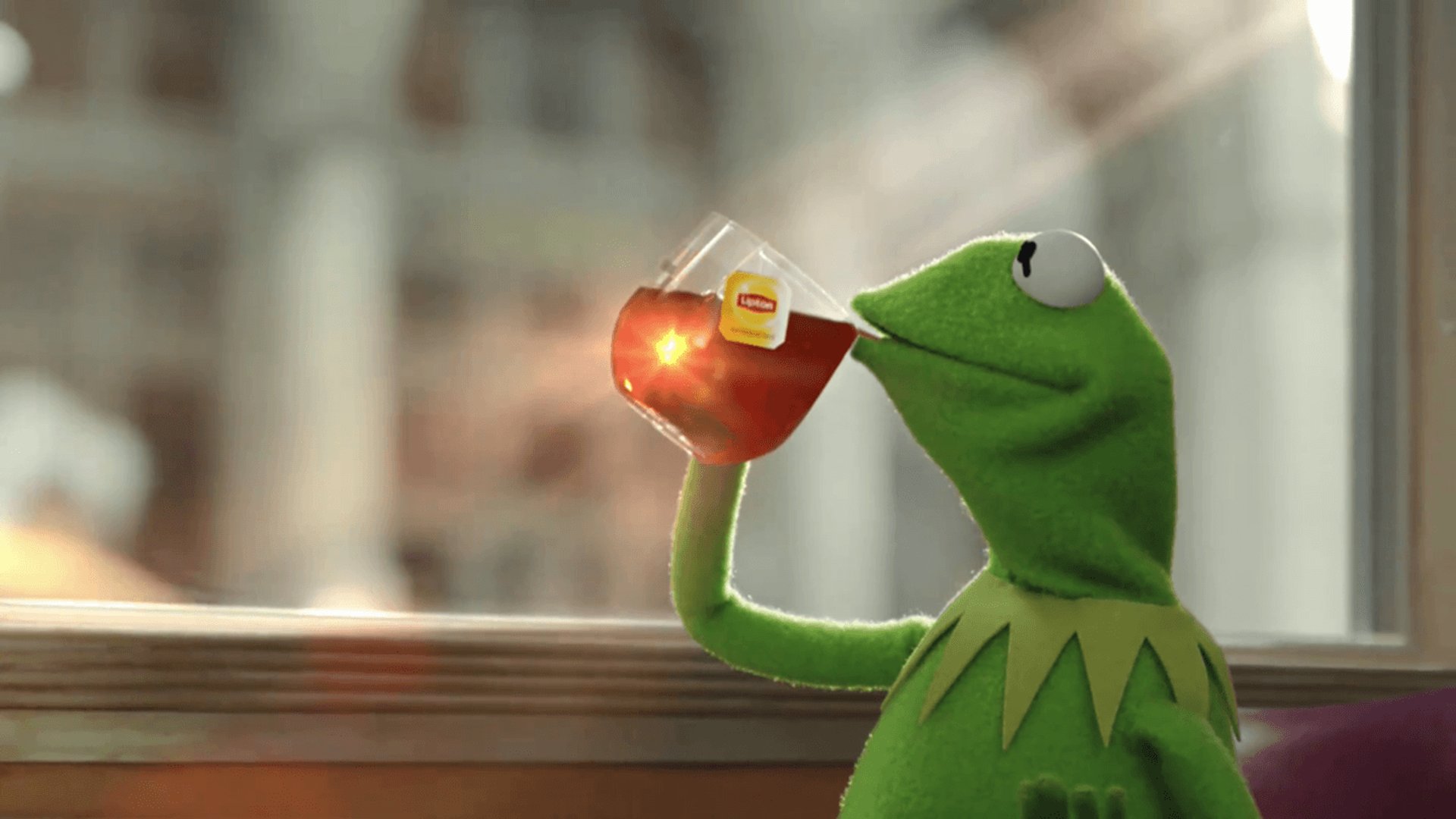 Kermit the Frog Images.png