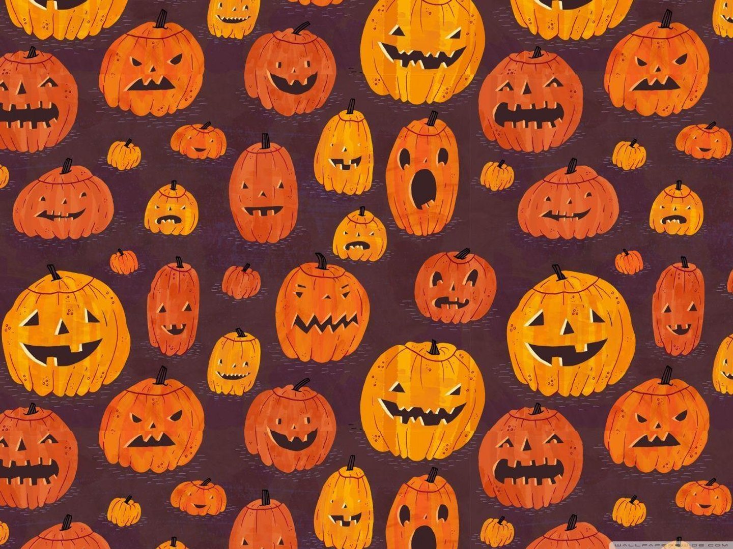 Cute Pumpkin Pictures.jpg