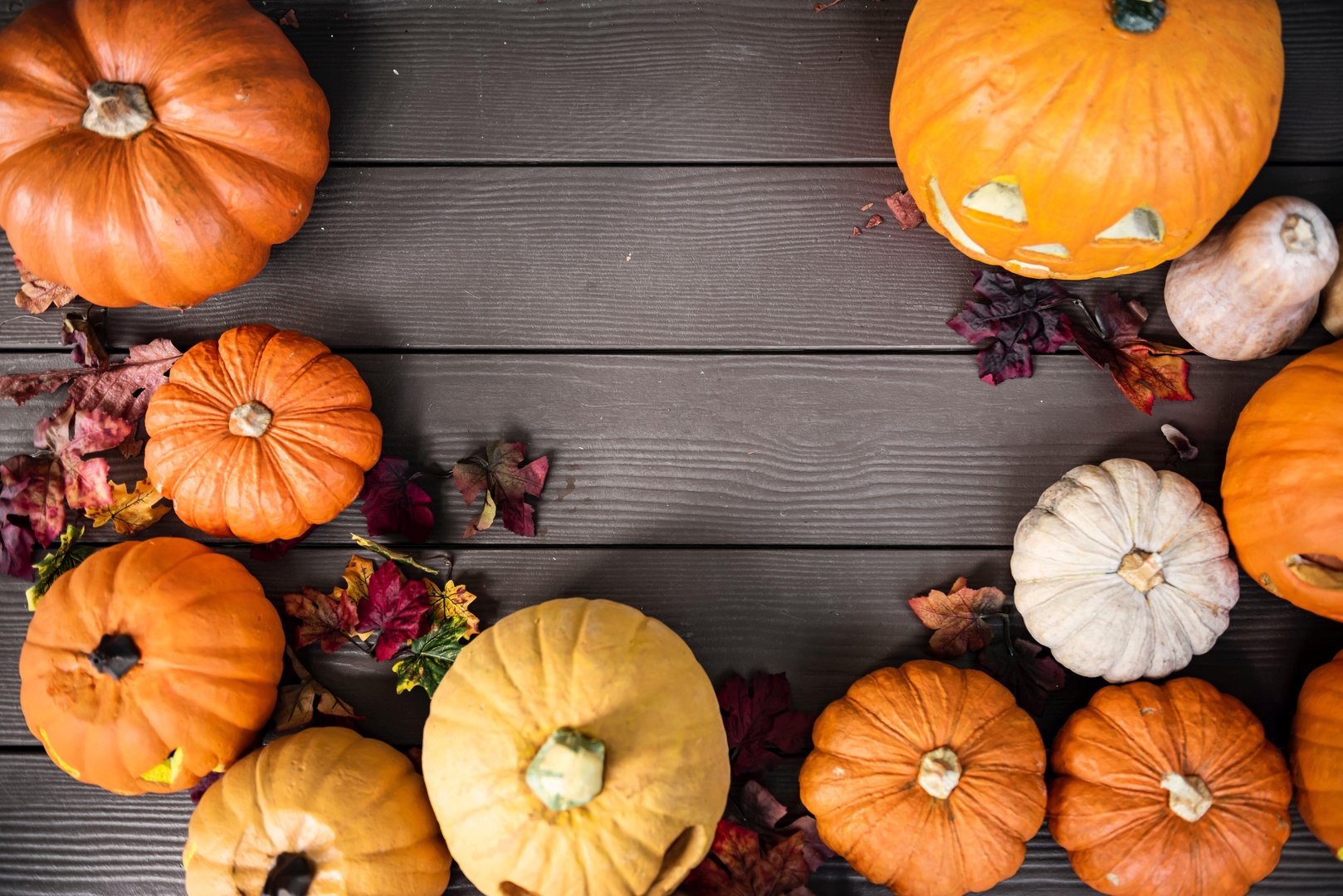 Cute Pumpkin Images.jpg