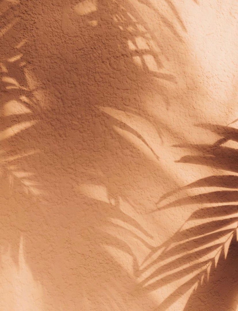 Tan Aesthetic Wallpapers.jpg