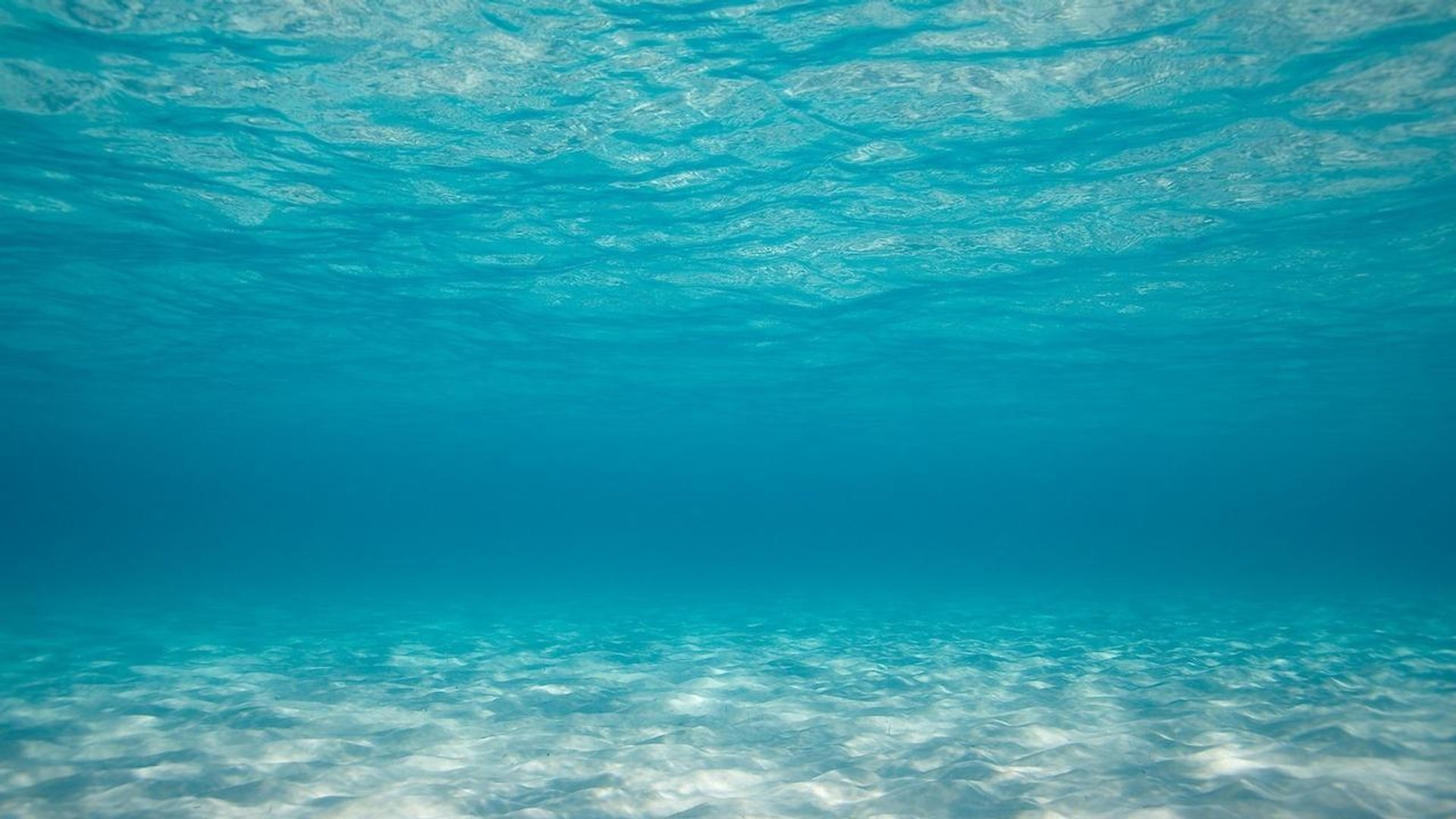 Aesthetic Ocean Images.jpg