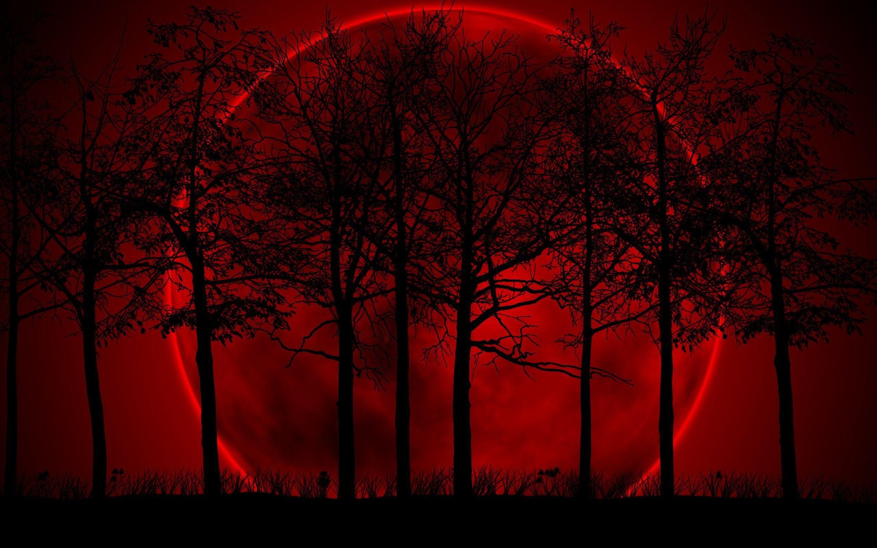 Bloody Wallpaper.jpg
