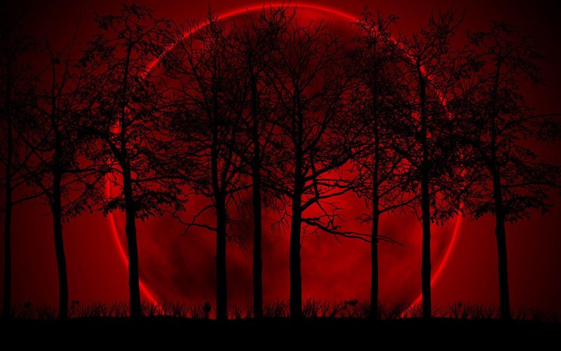 Bloody