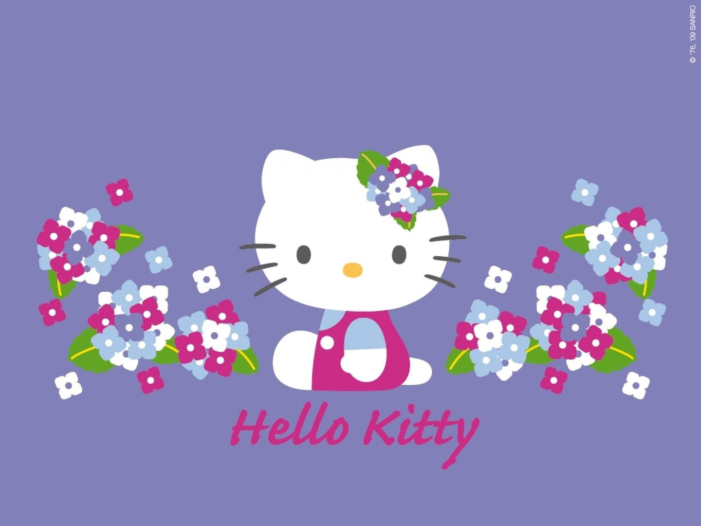 Hello Kitty Purple Picture.jpg