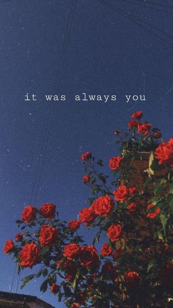 Aesthetic Love
