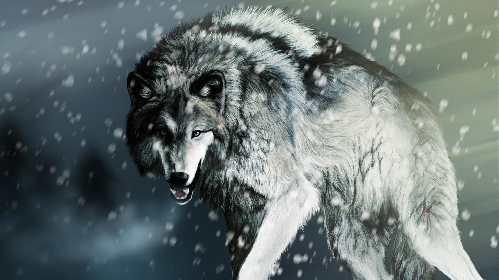 Cool Wolf Wallpapers.jpg