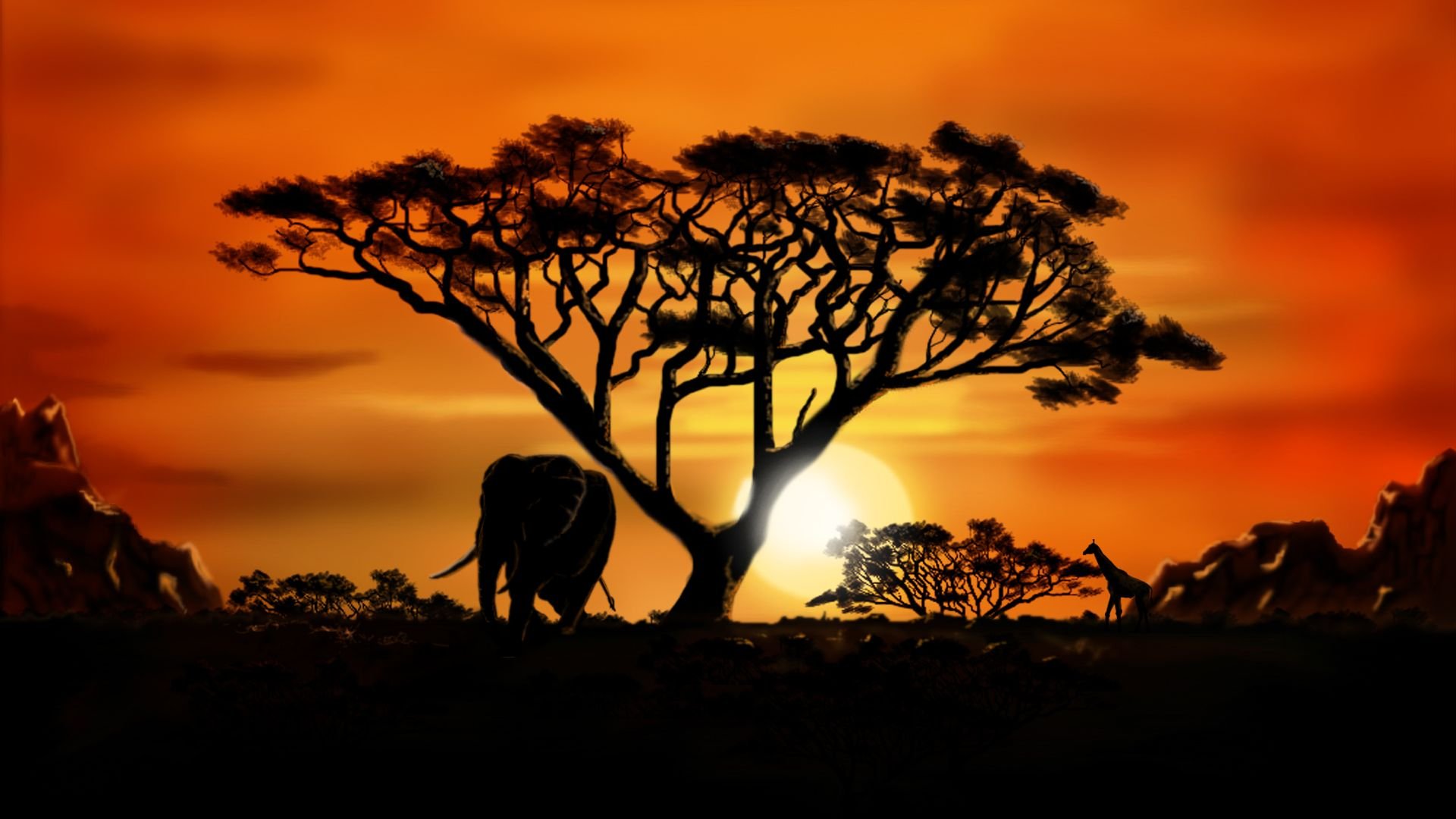 Africa Pics.jpg