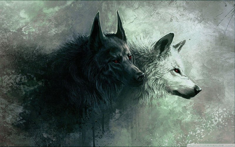 HD Wolf