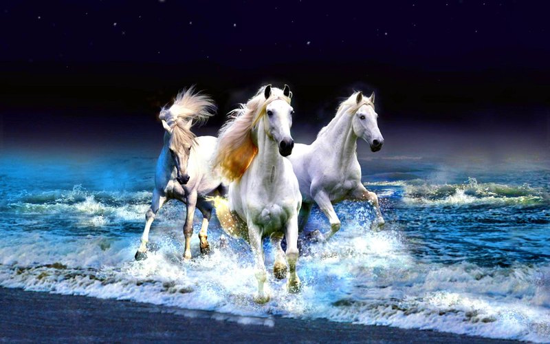 HD Horse