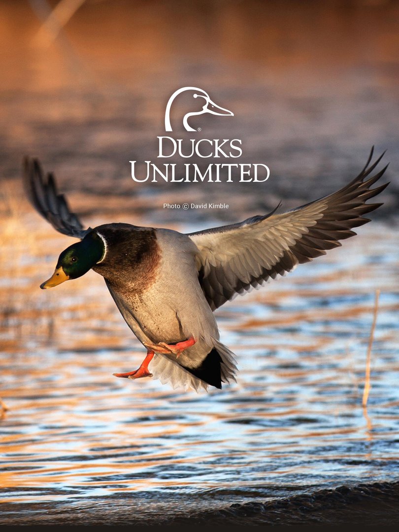 Duck Hunting Picture.jpg