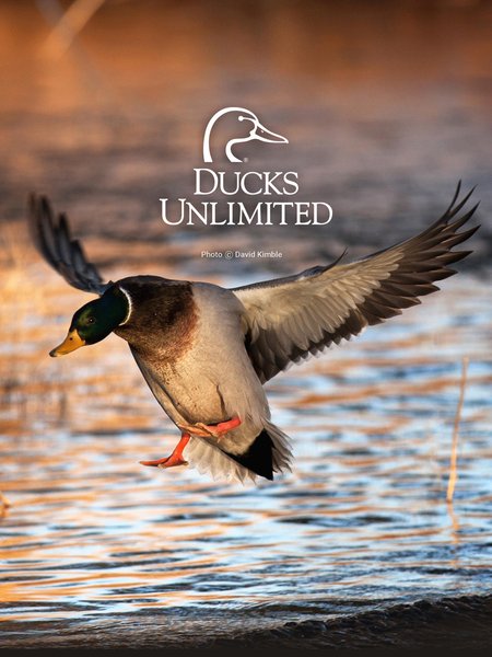 Duck Hunting