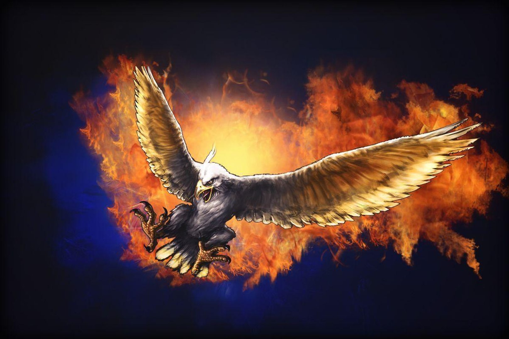 Cool Eagle Pictures.jpg