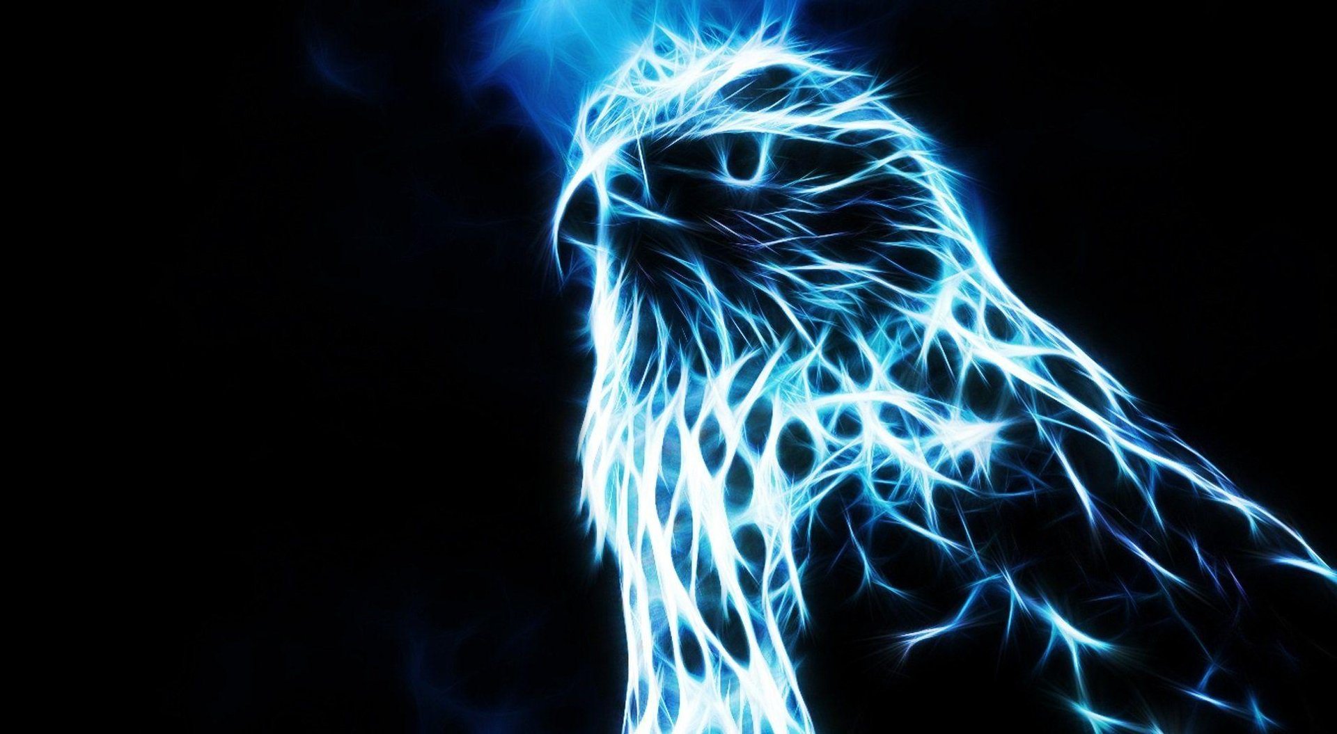 Cool Eagle Wallpapers.jpg