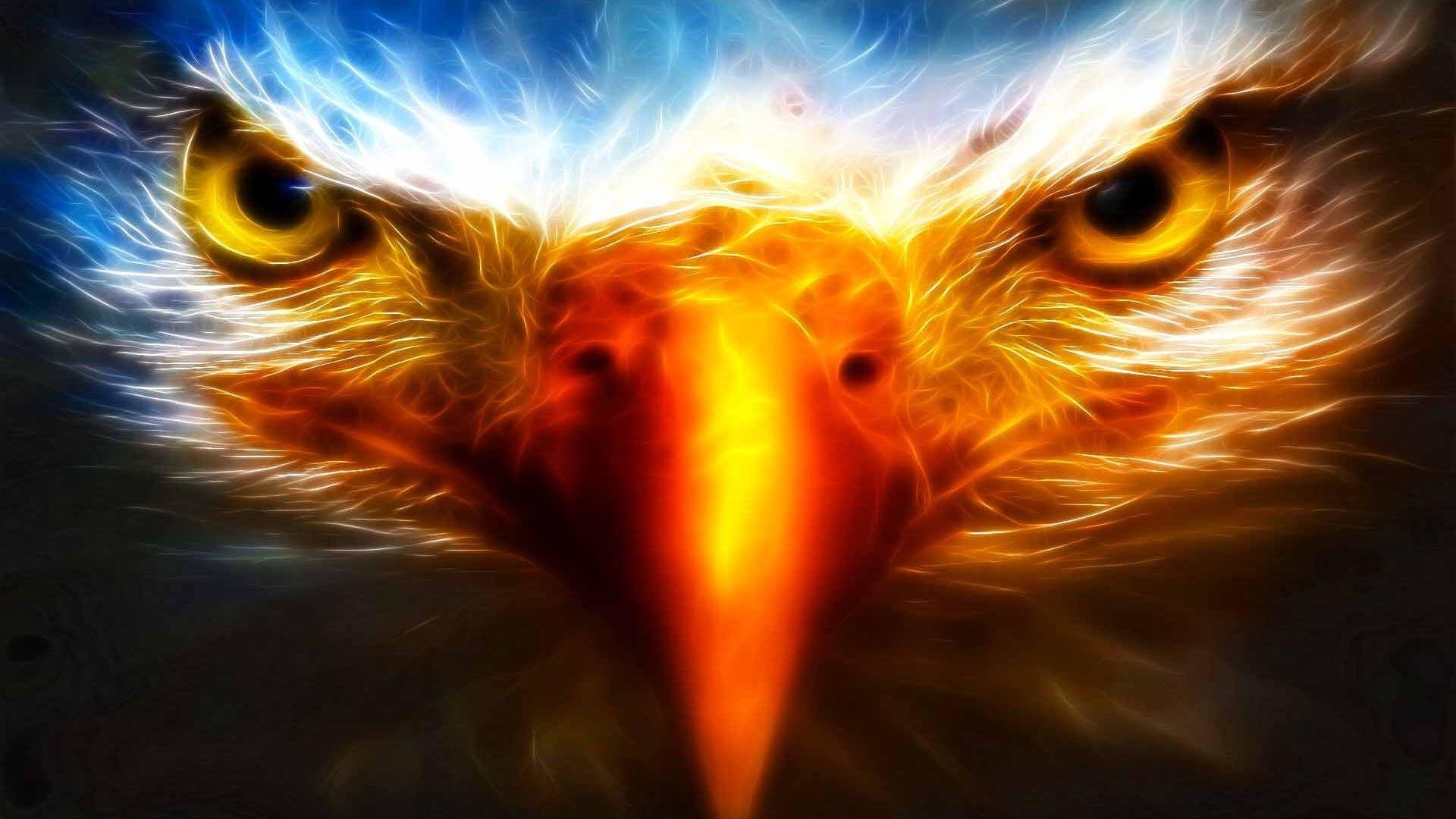 Cool Eagle Images.jpg