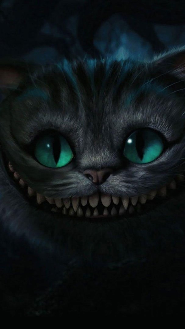 Cat iPhone Images.jpg