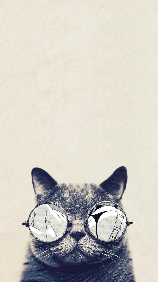 Cat iPhone Image.jpg