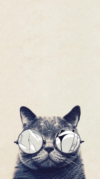 Cat iPhone
