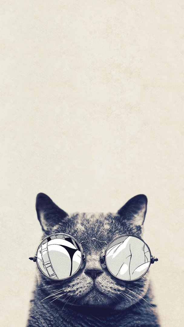 Cat Phone Wallpaper.jpg