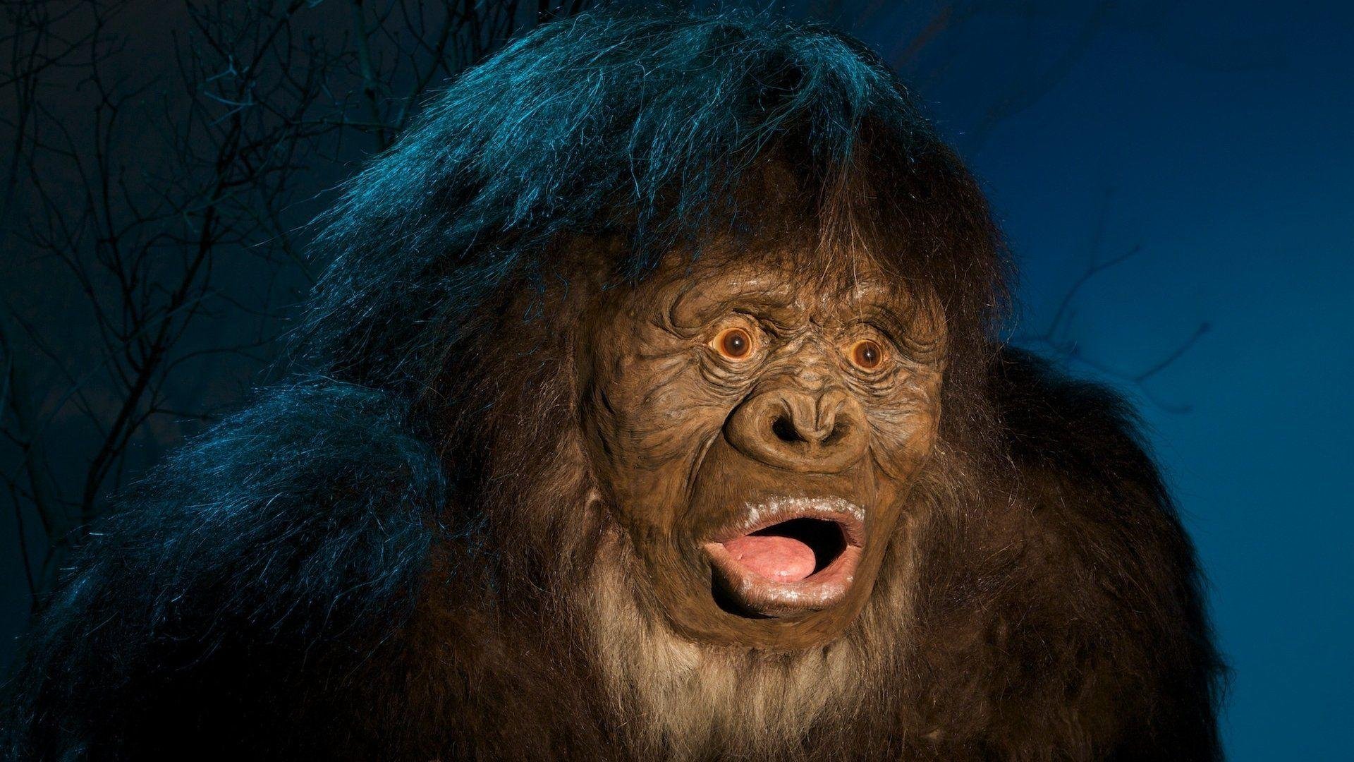 Bigfoot Picture.jpg
