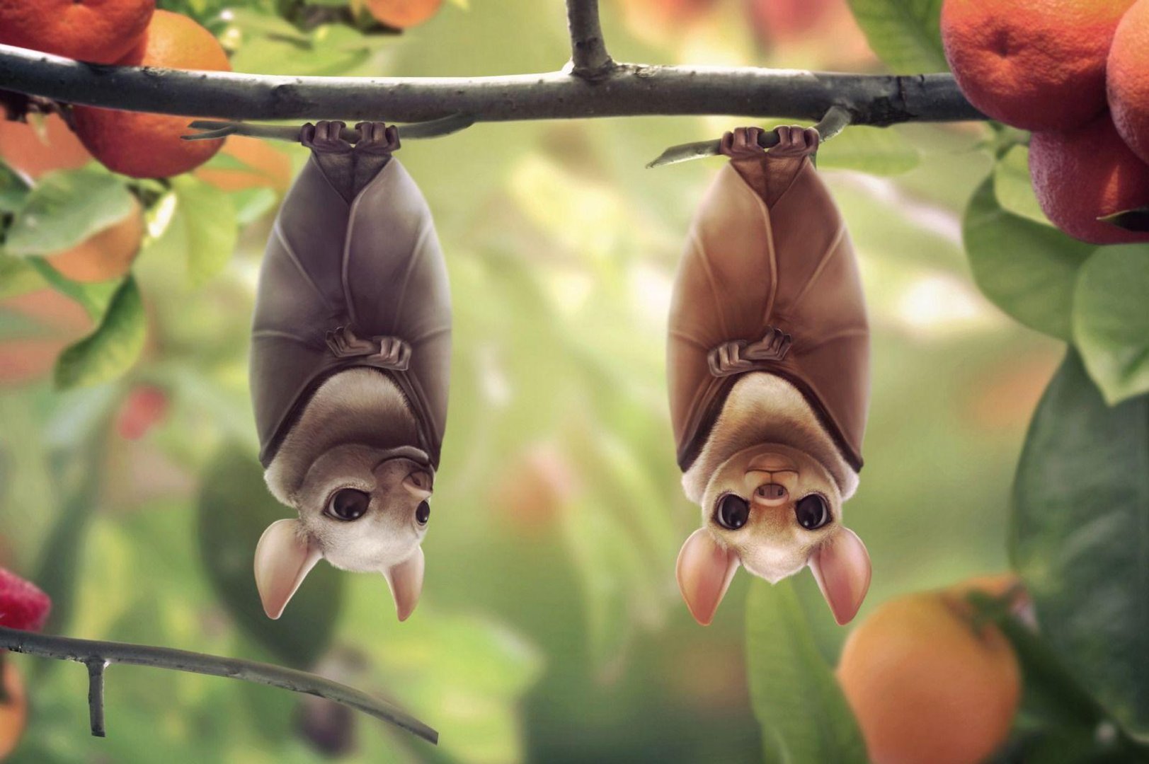 Cute Bat Wallpaper.jpg