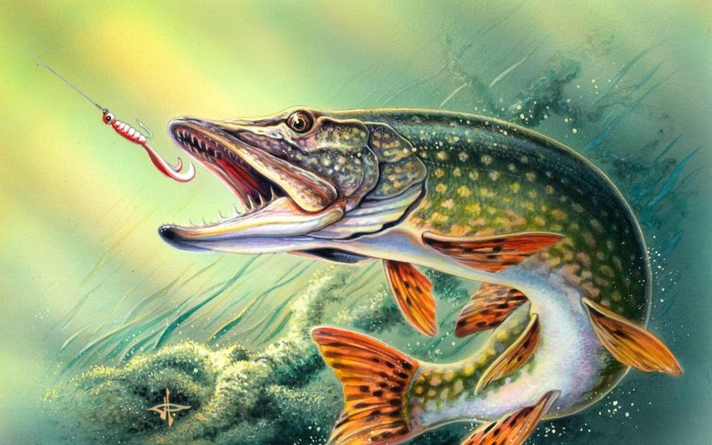 Bass Fishing