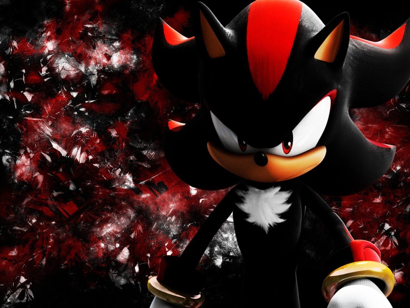 Shadow the Hedgehog pic.jpg