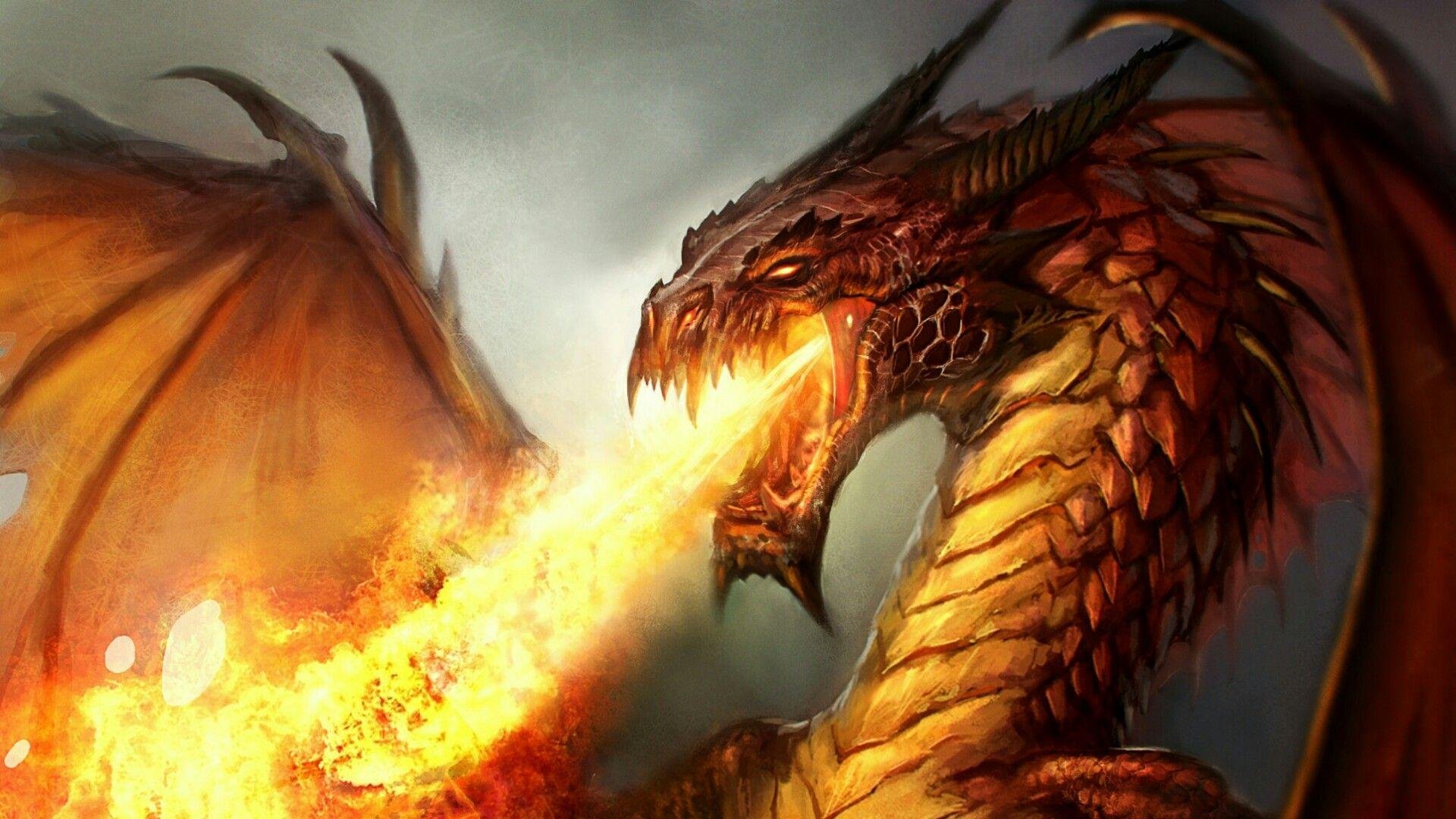 Fire Dragon Image.jpg
