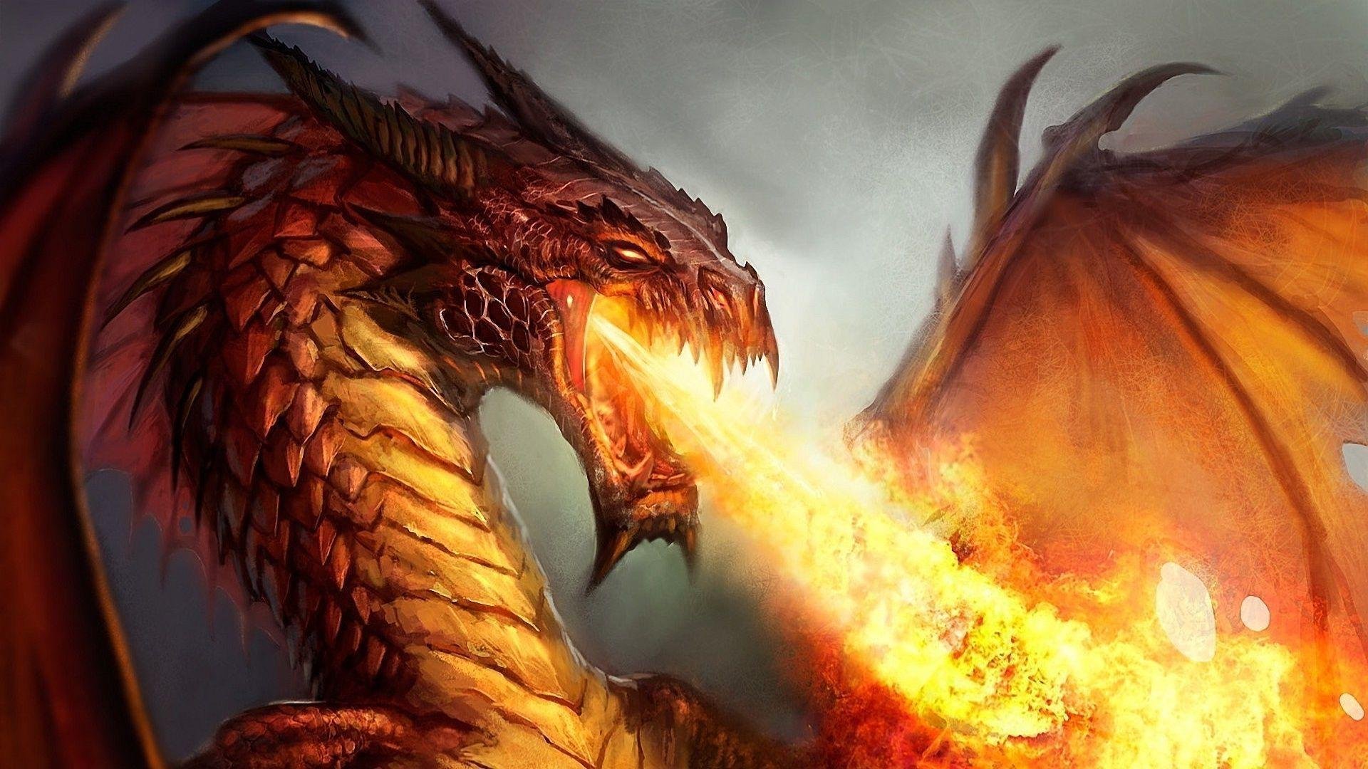 Fire Dragon Wallpaper.jpg