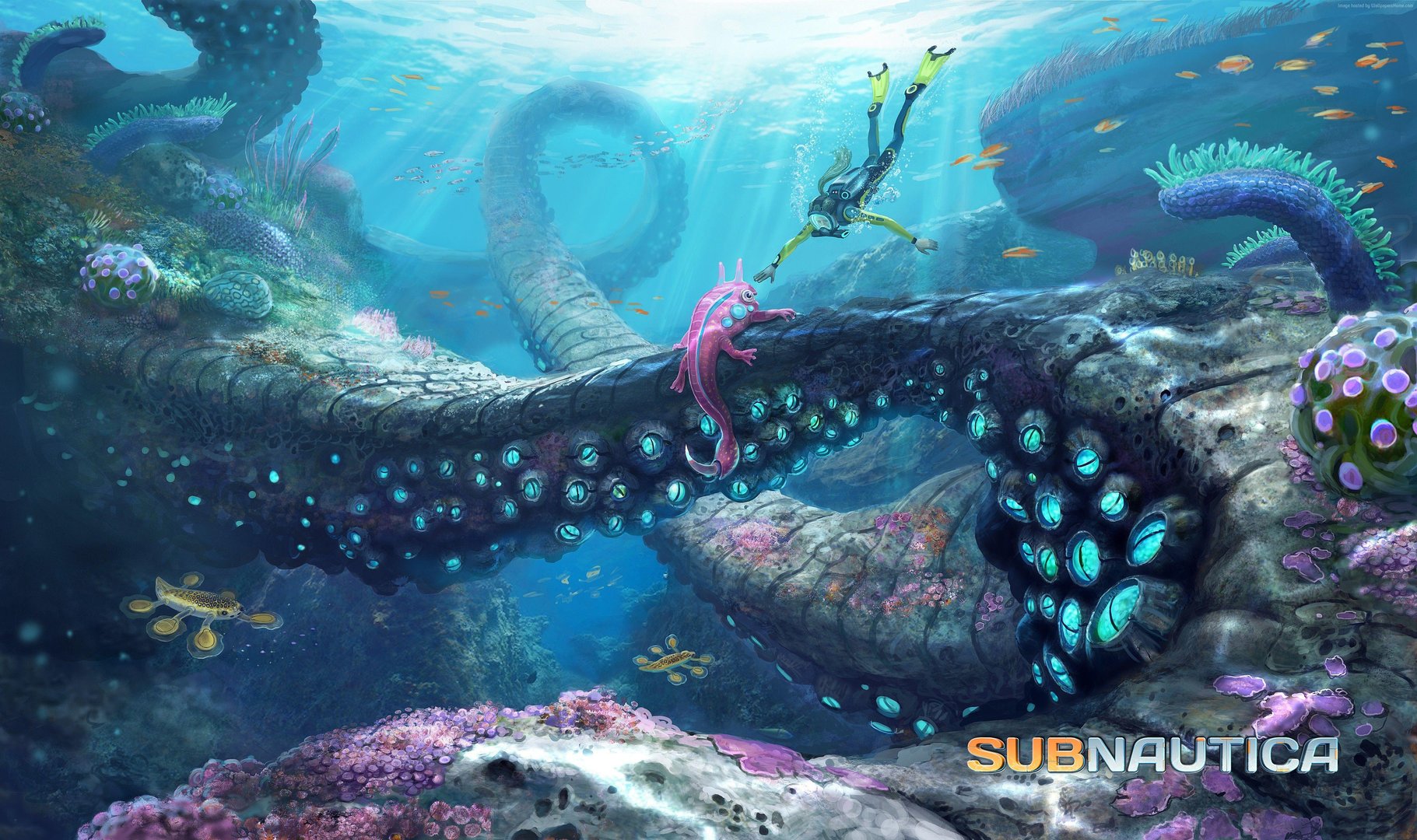 Subnautica 4K Pictures.jpg
