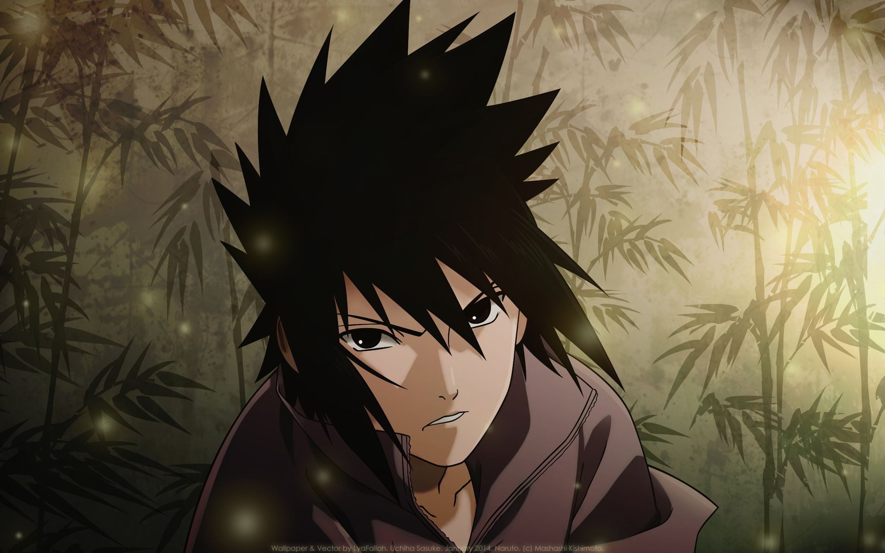 Sasuke Photos.jpg