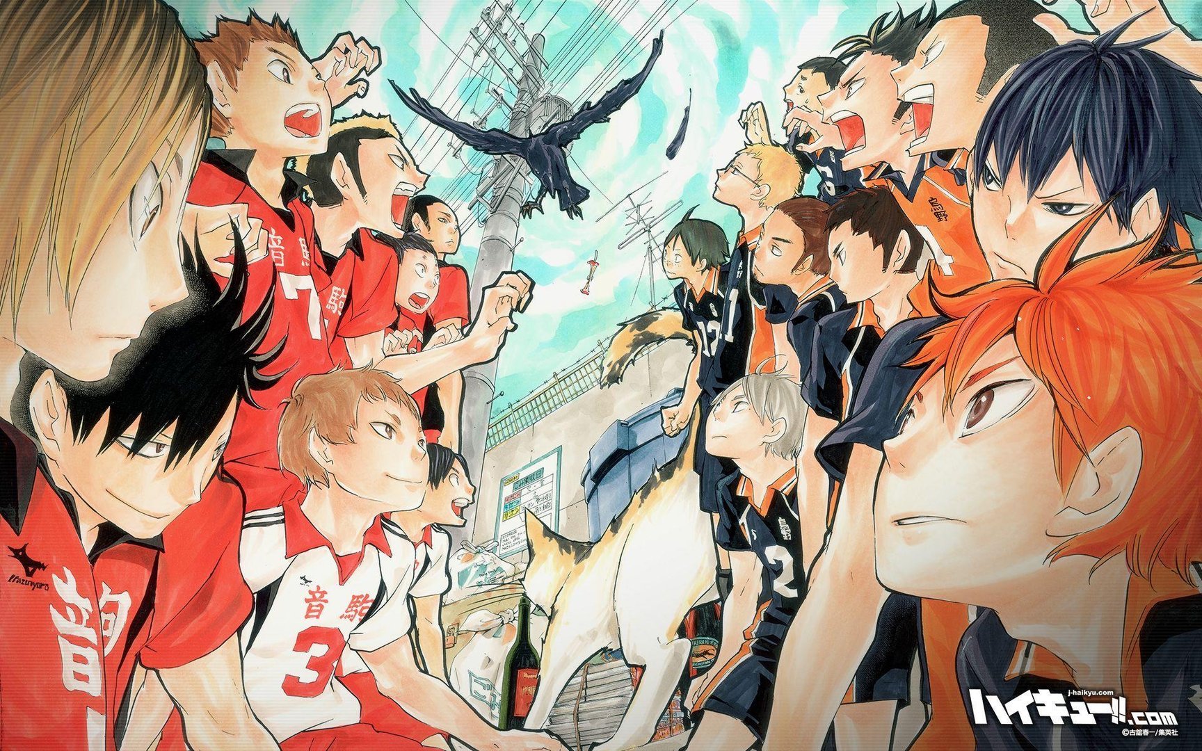 Haikyuu 4k pictures.jpg