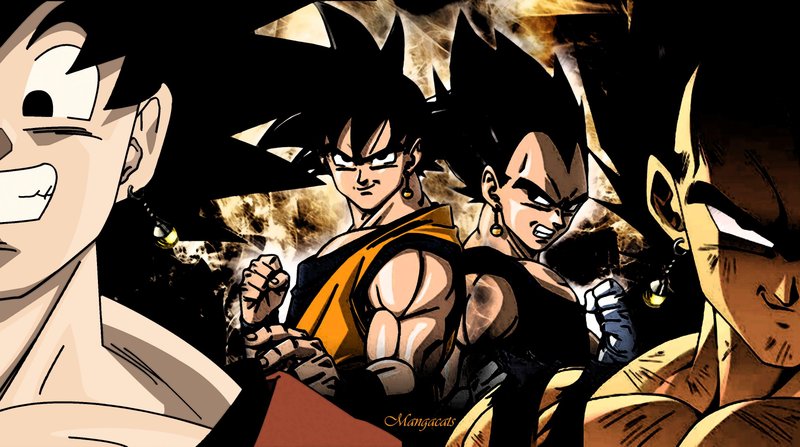 Goku and Vegeta