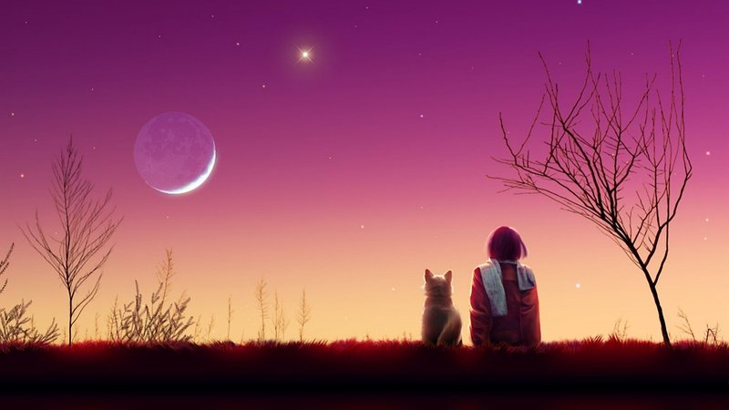 Anime Sunset