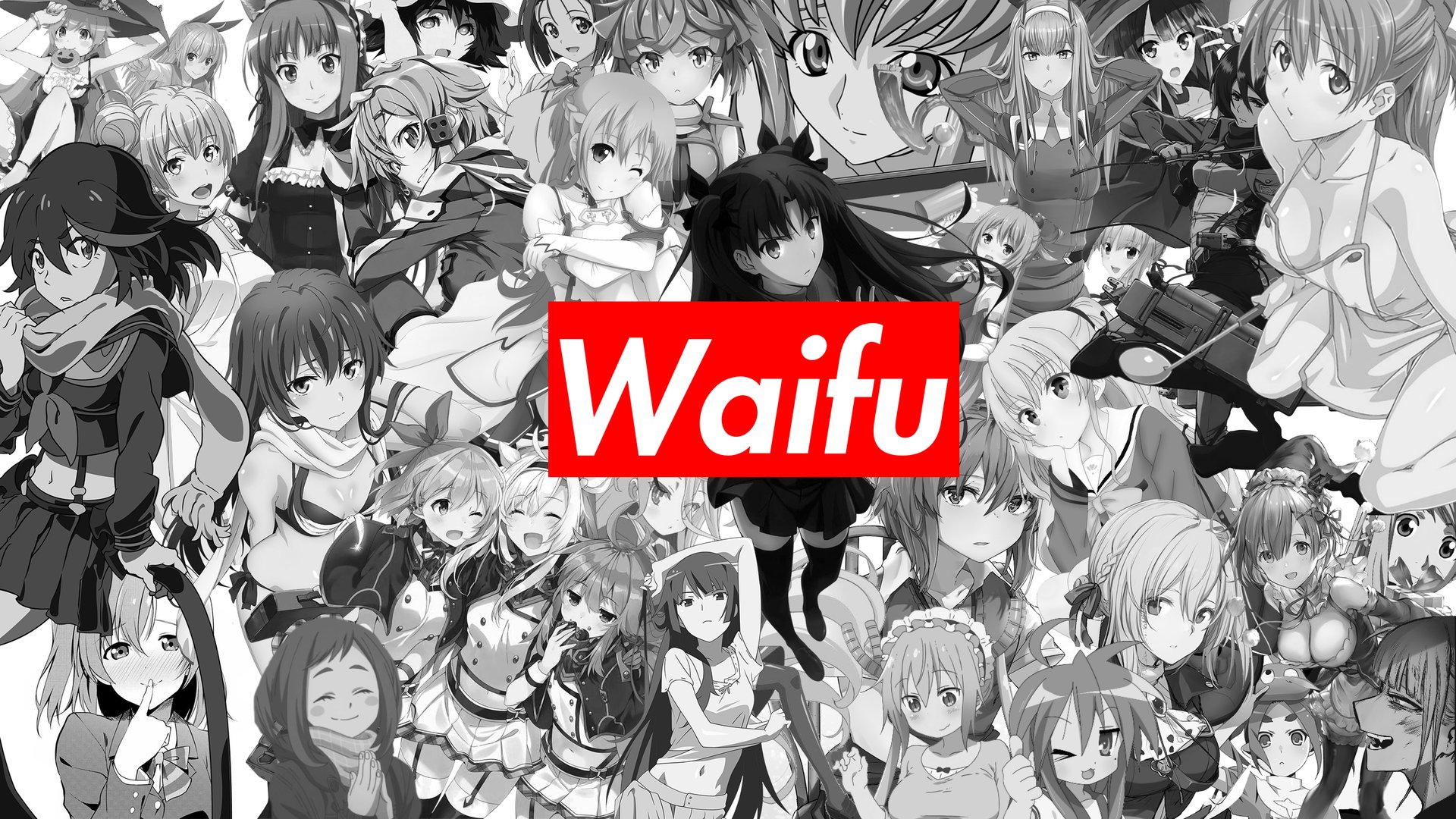 Anime Waifu Image.png