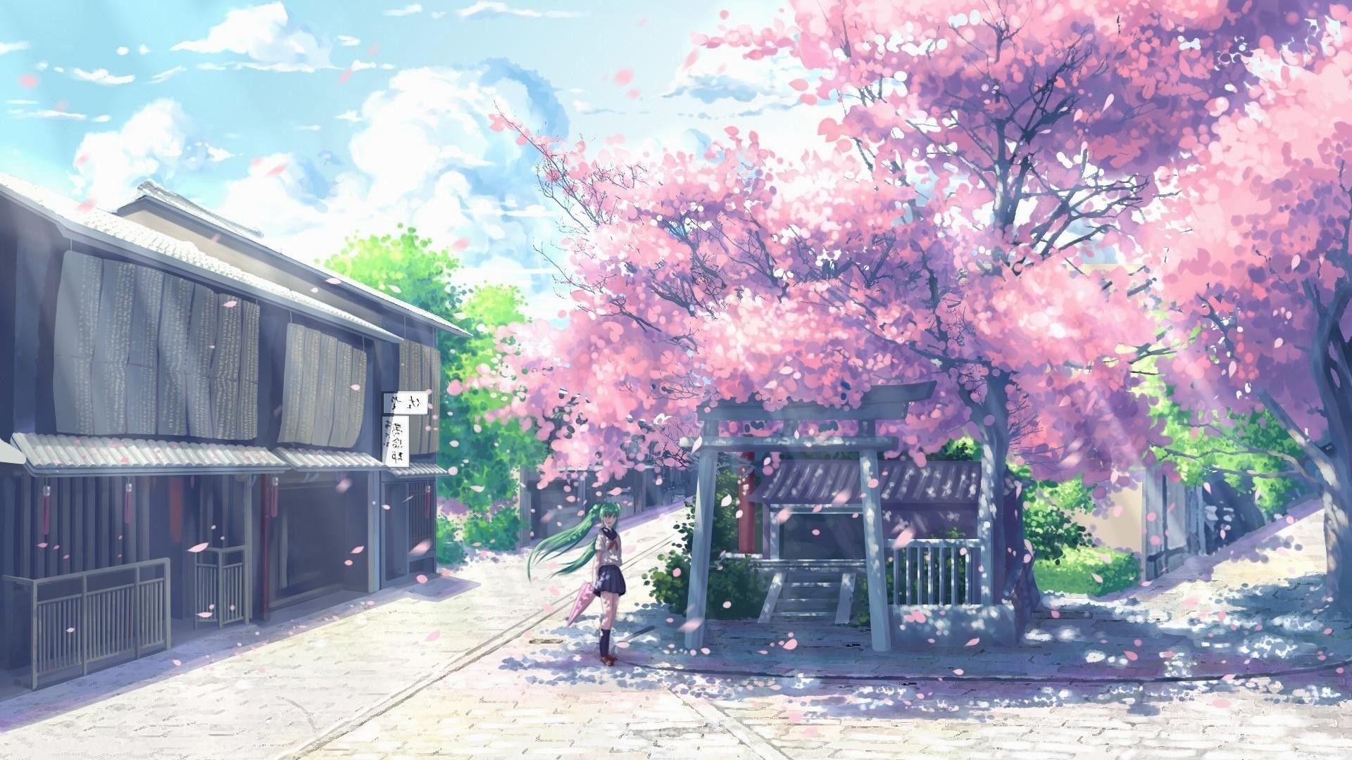 Anime Cherry Blossom 4K Wallpaper.jpg